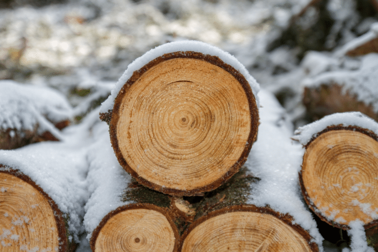 companies for logging insurance